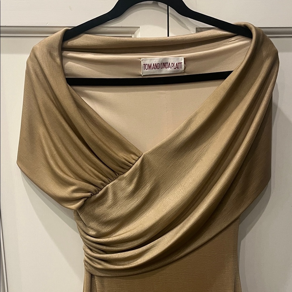 TOM AND LINDA PLATT Evening Gown